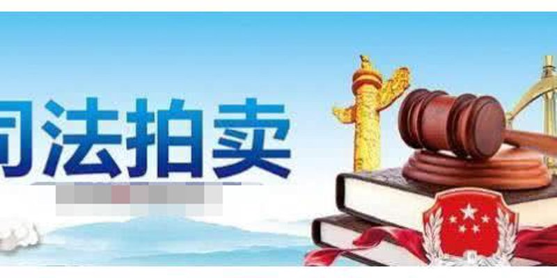 资产拍卖：一场经济的狂欢