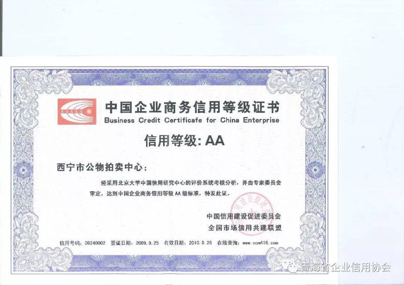 资产拍卖行业：把握机遇，共筑美好未来